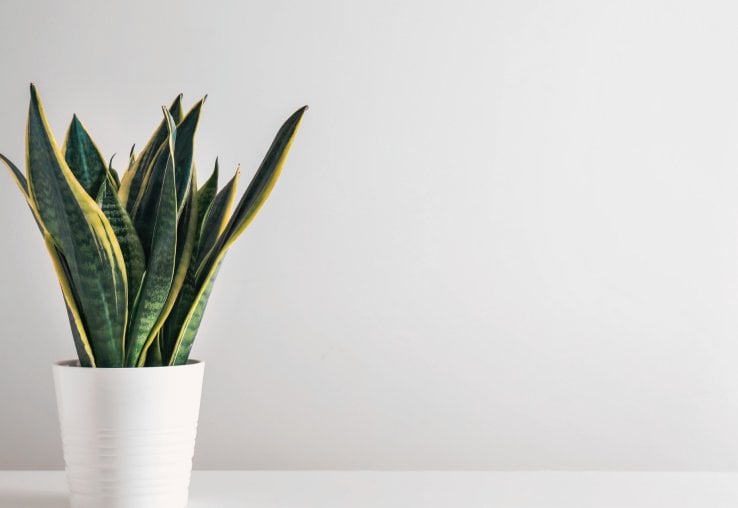 Non-Toxic Products
