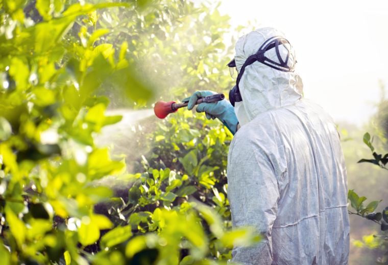 What’s the Deal with Glyphosate?