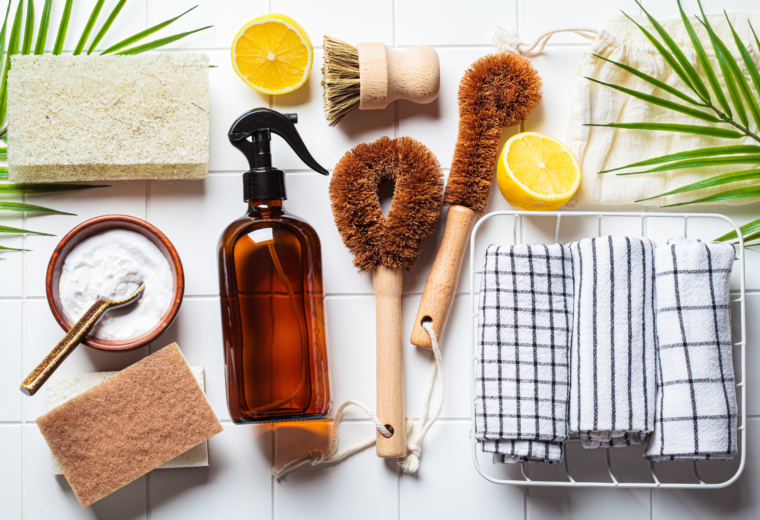 The Unseen Hormonal Warfare: Combating the Effects of Endocrine Disruptors