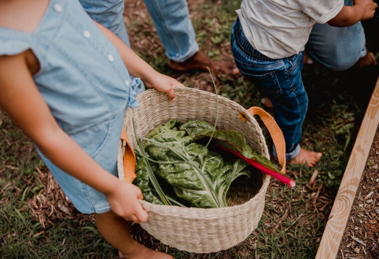 Breaking Free from Diet Dogma: Embracing Nutrient-Rich Living and Intuitive Eating