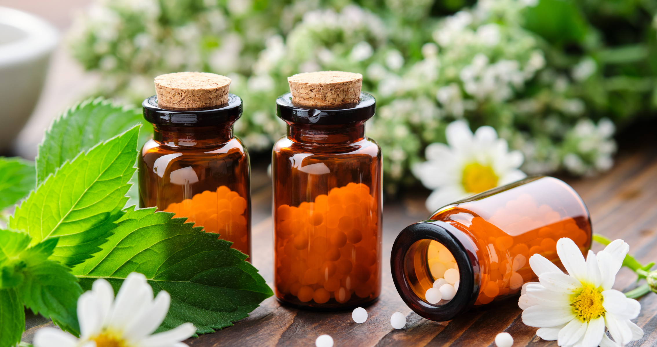 Elevate your family's wellness game with tips from Dr. Redcross on our latest podcast episode. Discover safe homeopathy remedies for kids and natural immune boosters.